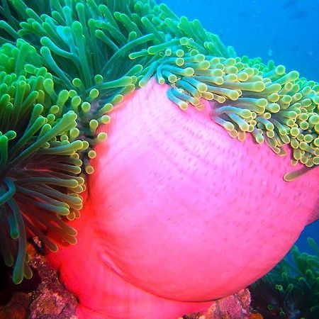 Ranveli Village Villingilivaru Island ภายนอก รูปภาพ
